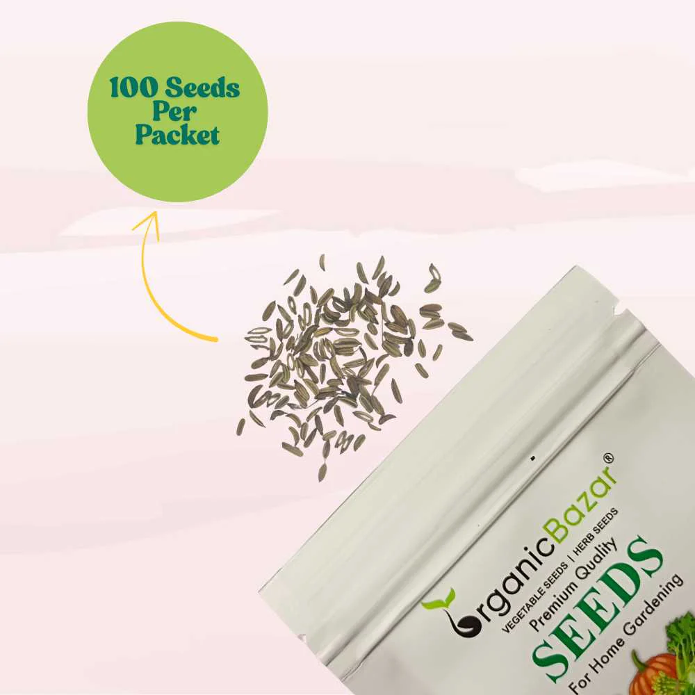 Fennel Florence Seeds (100 Seeds) - Image 3