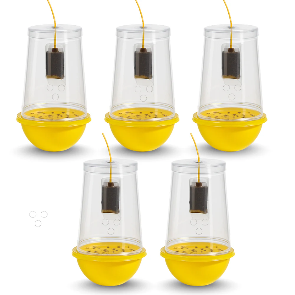 Fruit Fly Trap With Pheromone Lure For Organic Fruits Gardening | Eco-Friendly Pest Control for Mango, Guava, Papaya & All Fruit Crops - Image 3