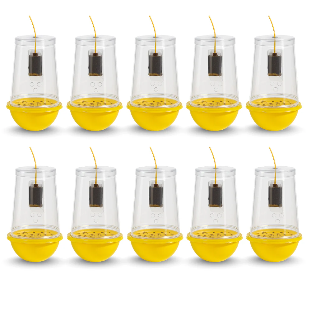 Fruit Fly Trap With Pheromone Lure For Organic Fruits Gardening | Eco-Friendly Pest Control for Mango, Guava, Papaya & All Fruit Crops - Image 4