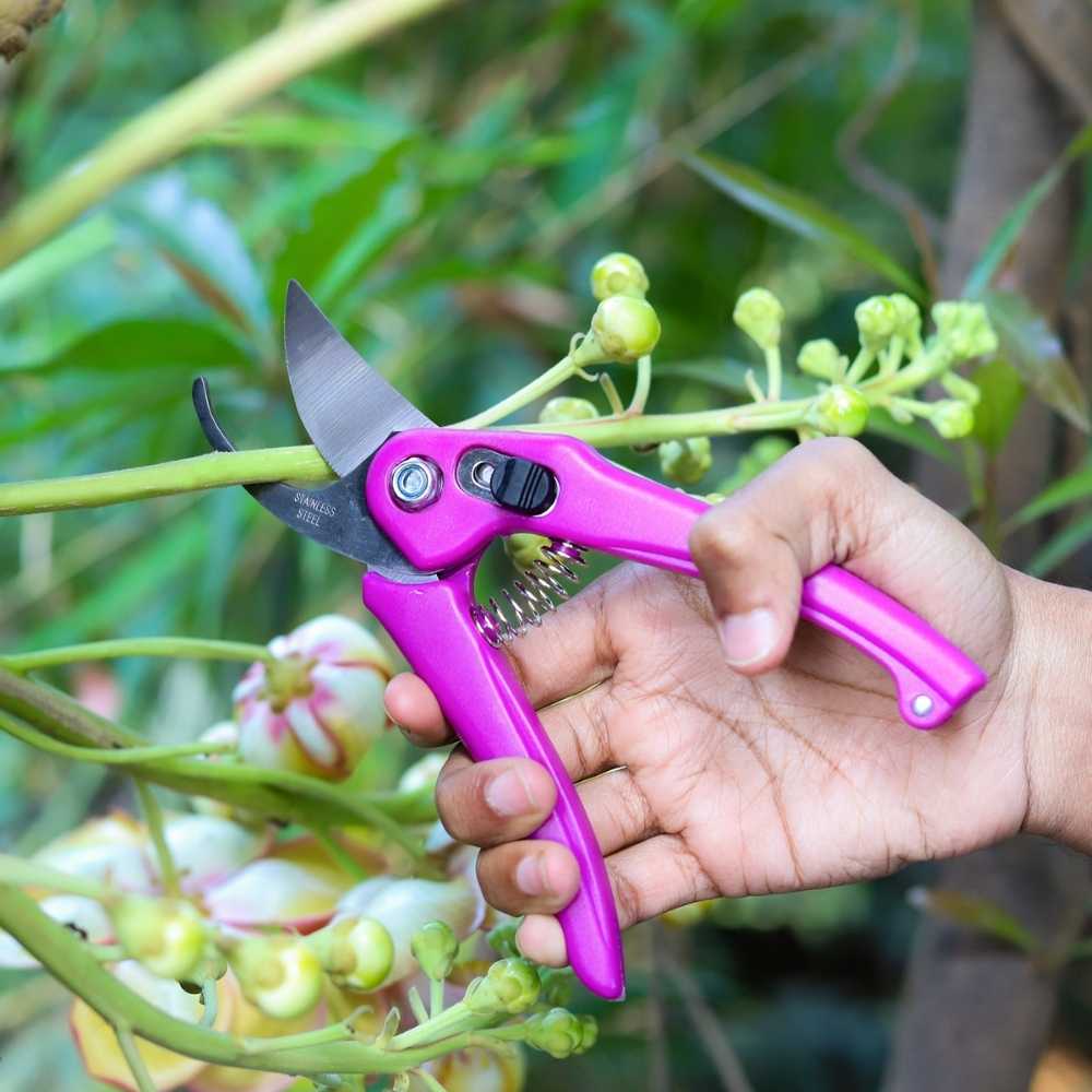 Multipurpose Gardening Cutter Scissor Hand Pruner - Image 3