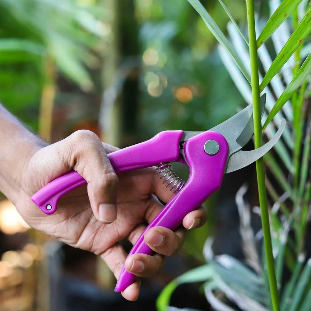 Multipurpose Gardening Cutter Scissor Hand Pruner - Image 4