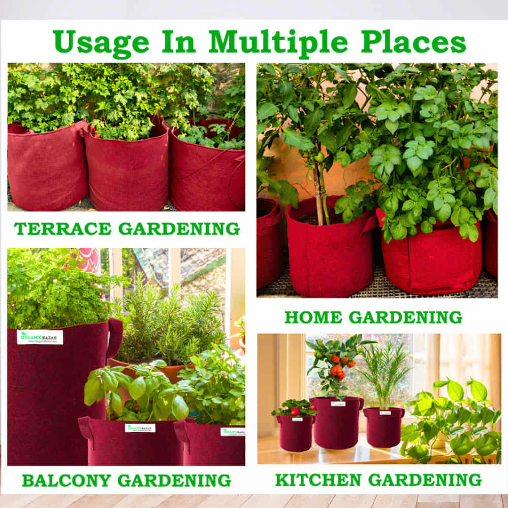 Geo Fabric 18×18 Big Size Grow Bag For Home Gardening Suitable For Fruit Plants - Image 6