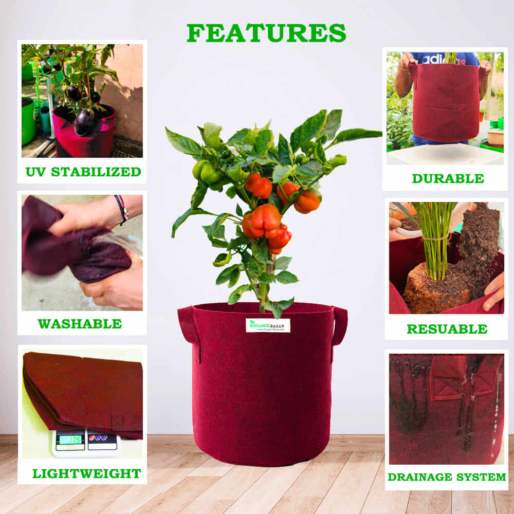 Geo Fabric 18×18 Big Size Grow Bag For Home Gardening Suitable For Fruit Plants - Image 7