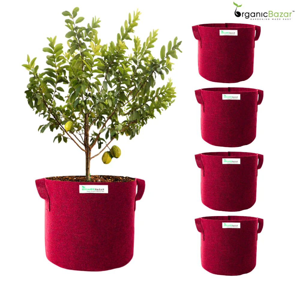 Geo Fabric 21×21 Big Size Grow Bag For Home Gardening Suitable For Fruit Plants - Image 10