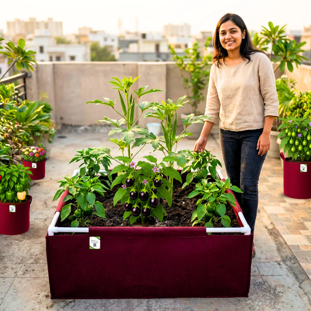 OrganicBazar 36x36x12 Geo Fabric Rectangular Grow Bag With Supporting PVC Pipes, Premium 450 GSM Raised Bed for Terrace Garden - Image 3