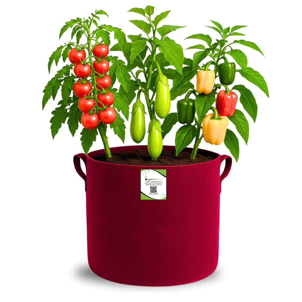 Geo Fabric 12x12 Grow Bag For Terrace Gardening Suitable For Vegetable and Flower Plants - Image 10