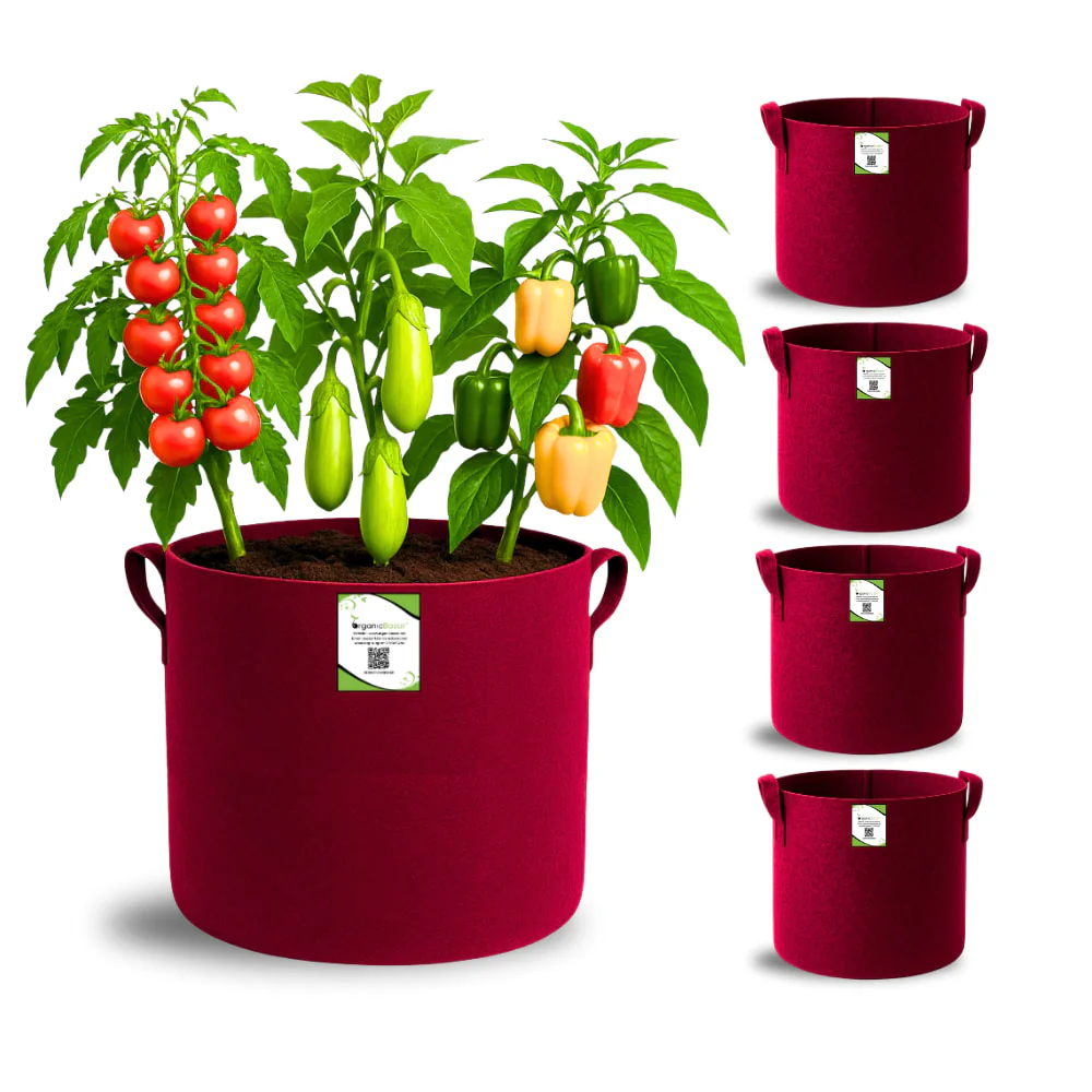 Geo Fabric 12x12 Grow Bag For Terrace Gardening Suitable For Vegetable and Flower Plants - Image 11