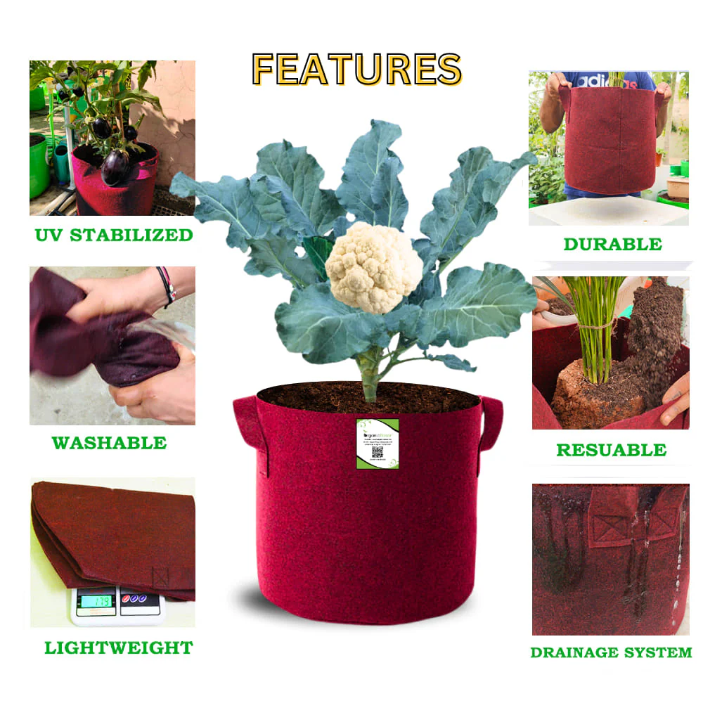 Geo Fabric 12x12 Grow Bag For Terrace Gardening Suitable For Vegetable and Flower Plants - Image 4