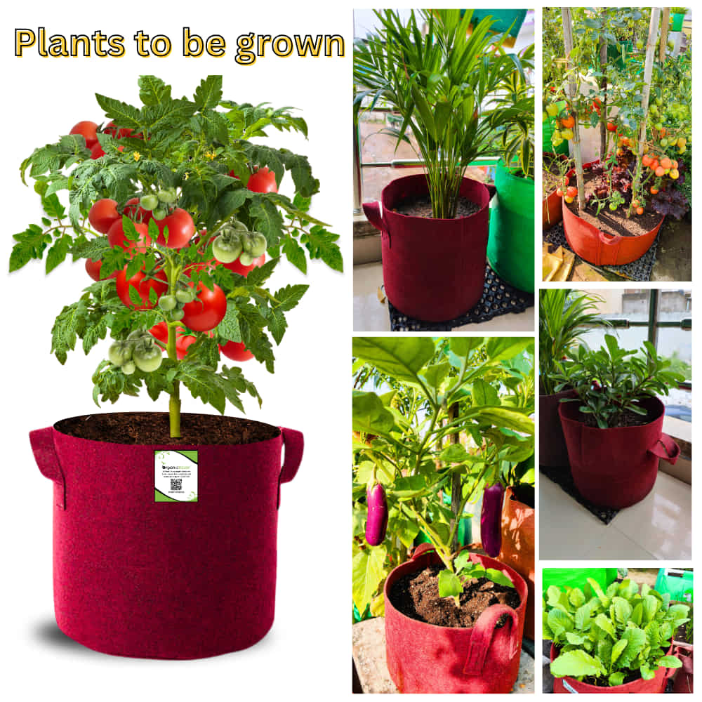 Geo Fabric 15x15 Grow Bag For Terrace Gardening Suitable For Vegetable and Flower Plants - Image 9