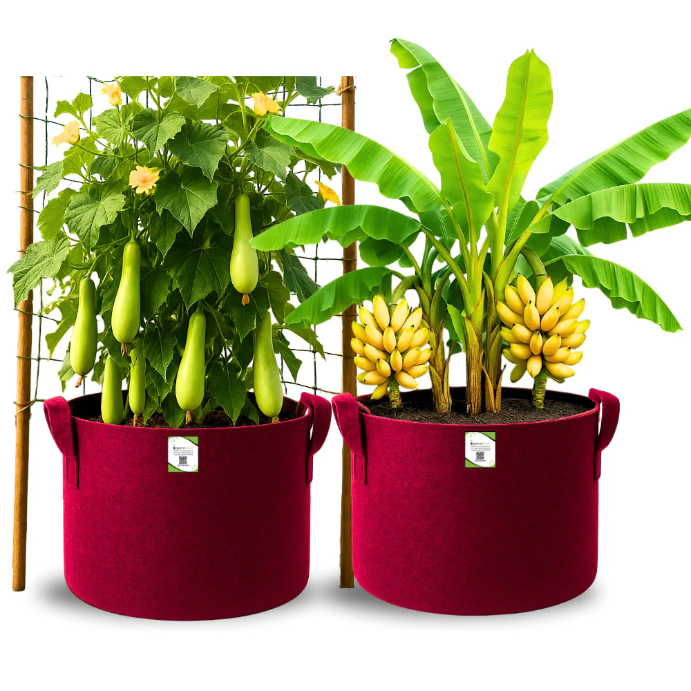 OragnicBazar Geo 24×24 Grow Bag for Home & Terrace Gardening Suitable for Fruit Tree, Premium Geo Fabric 450 GSM Plant Bags - Image 3