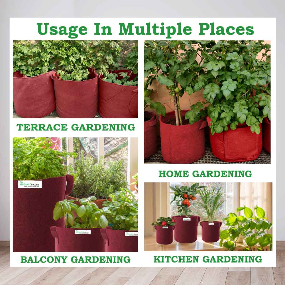 OragnicBazar Geo 24×24 Grow Bag for Home & Terrace Gardening Suitable for Fruit Tree, Premium Geo Fabric 450 GSM Plant Bags - Image 4