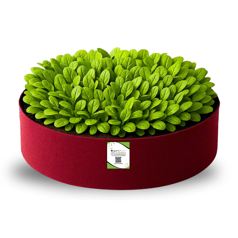 Geo Fabric 24x6 Grow Bag For Terrace Gardening Suitable For Leafy Vegetable and Flower Plants
