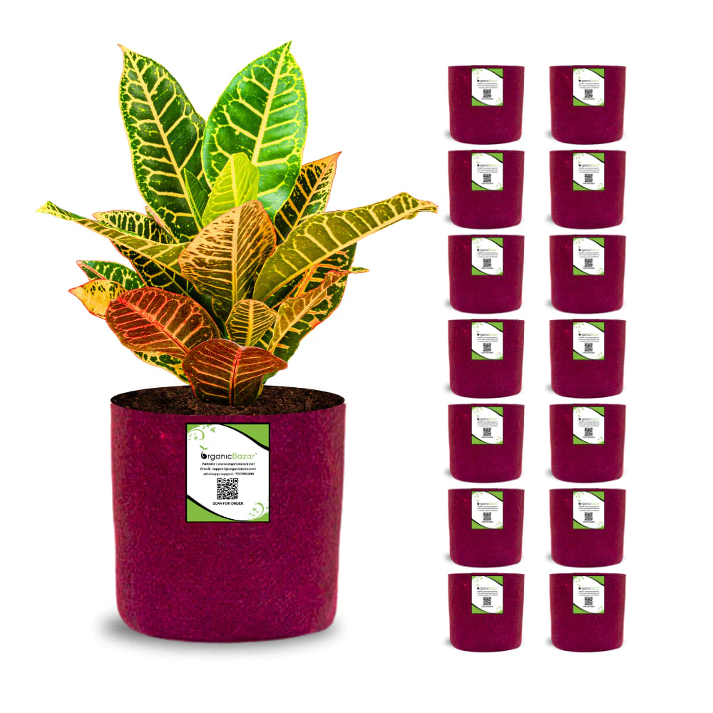 OrganicBazar 6x6 Small Size Grow Bags for Terrace Gardening, Premium Quality Geo Fabric 450 GSM Planters for Small Plants - Image 7