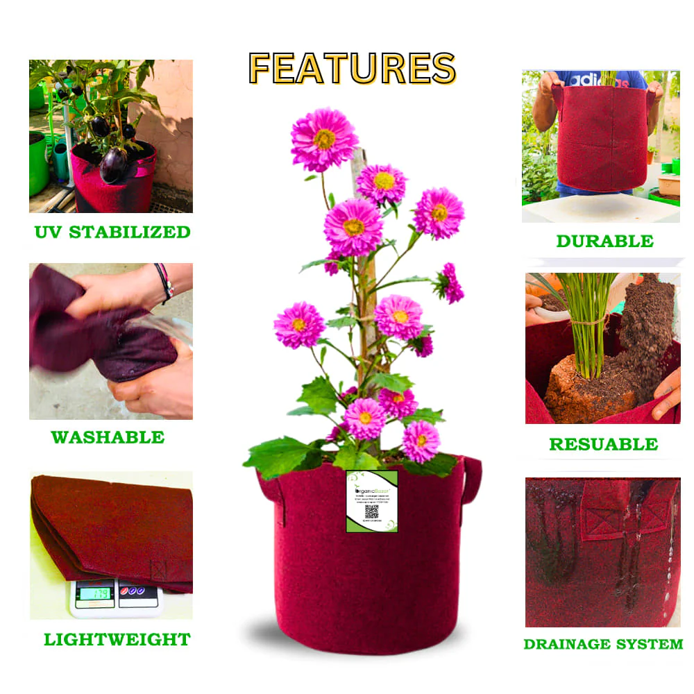 OrganicBazar 9x9 Geo Grow Bags Suitable for Vegetable and Flower Plants, Premium Quality 450 GSM Maroon Planters for Terrace Garden - Image 6