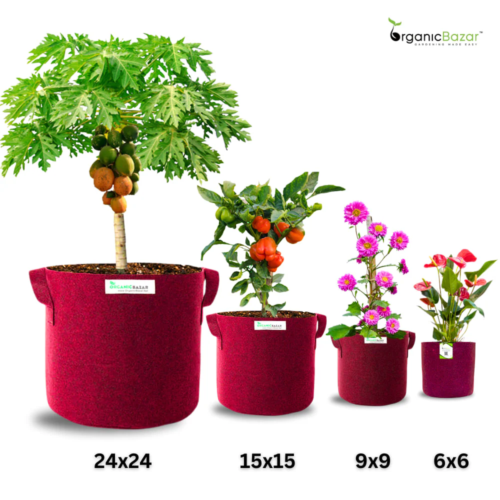 OrganicBazar 9x9 Geo Grow Bags Suitable for Vegetable and Flower Plants, Premium Quality 450 GSM Maroon Planters for Terrace Garden - Image 7