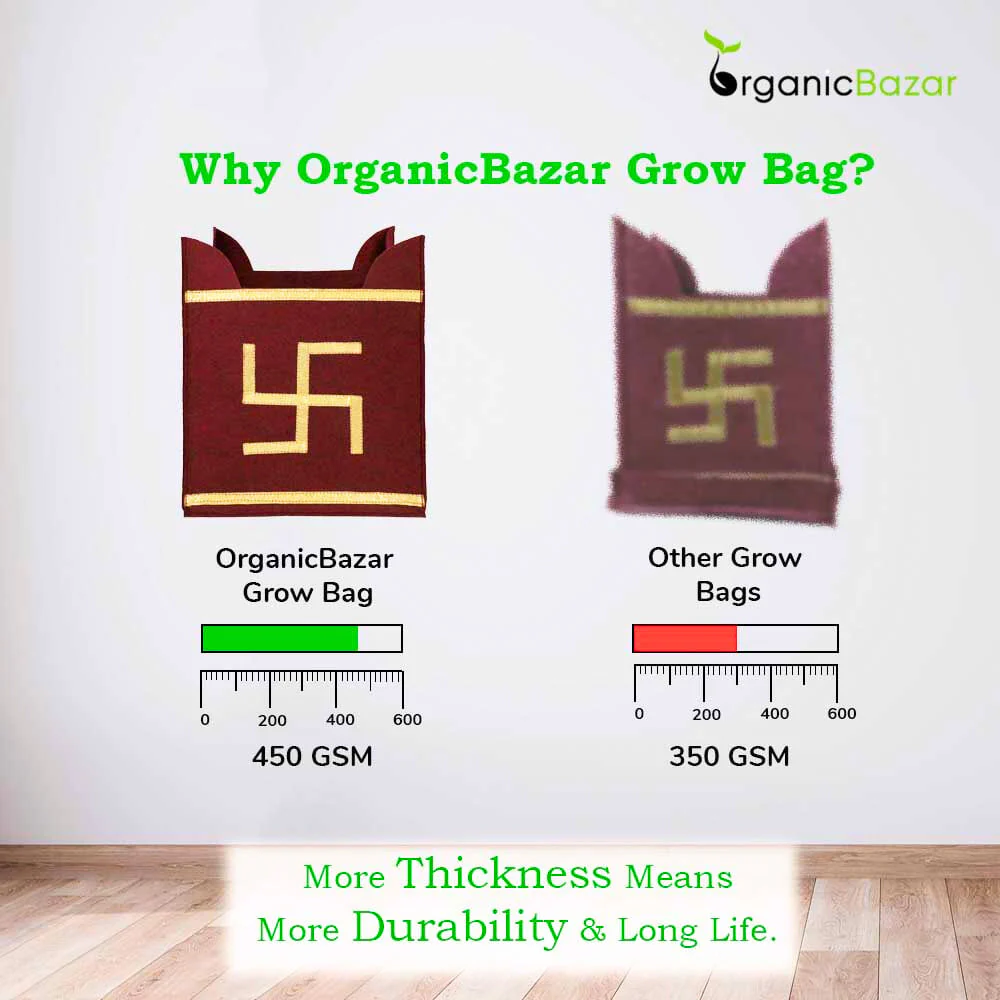 Geo Fabric 10x10 Grow Bag For Tulsi Plant (Tulsi Grow Bag) - Image 6