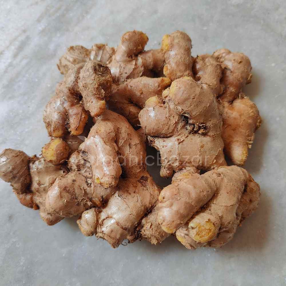 Ginger (Adrak) Rhizome/Root/Seeds For Planting/Growing/Sowing (400 g) - Image 3