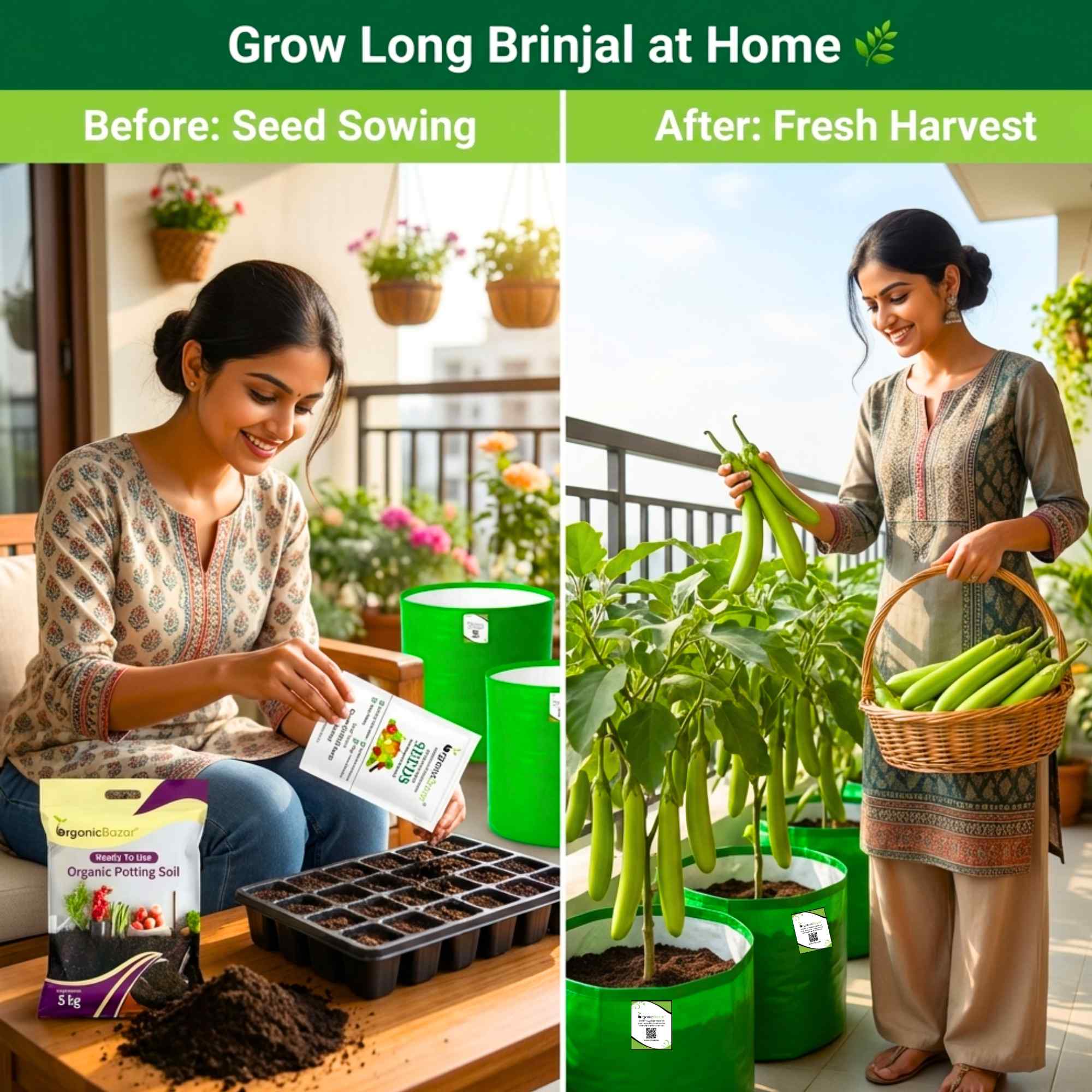 Green Brinjal Seeds (Long) - (50 Seeds) High Germination/ High Yield / Ideal for Terrace/Kitchen Gardening (Lamba hara Baingan/Eggplant/लंबा बैंगन के बीज) - Image 2