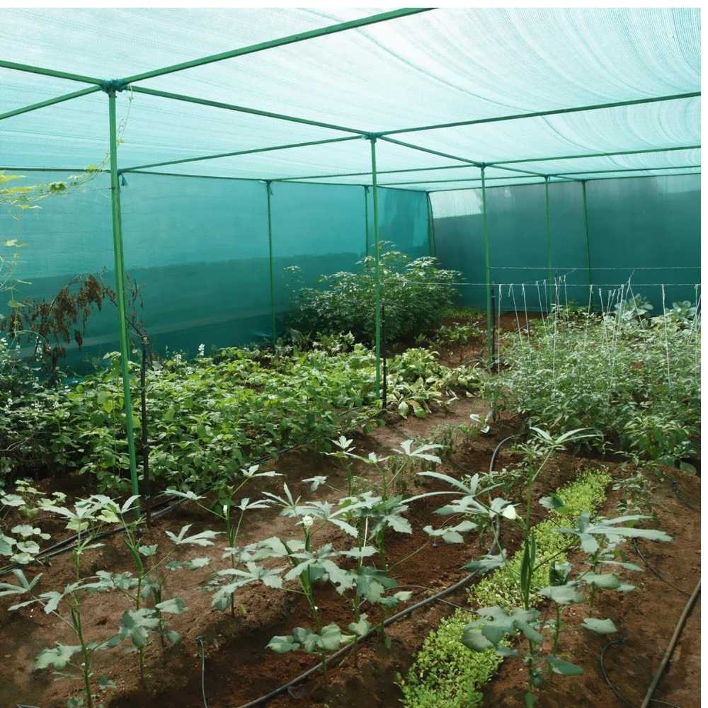 Green Shade Net 50% for Home Garden (4.5m X 3m) - Image 6