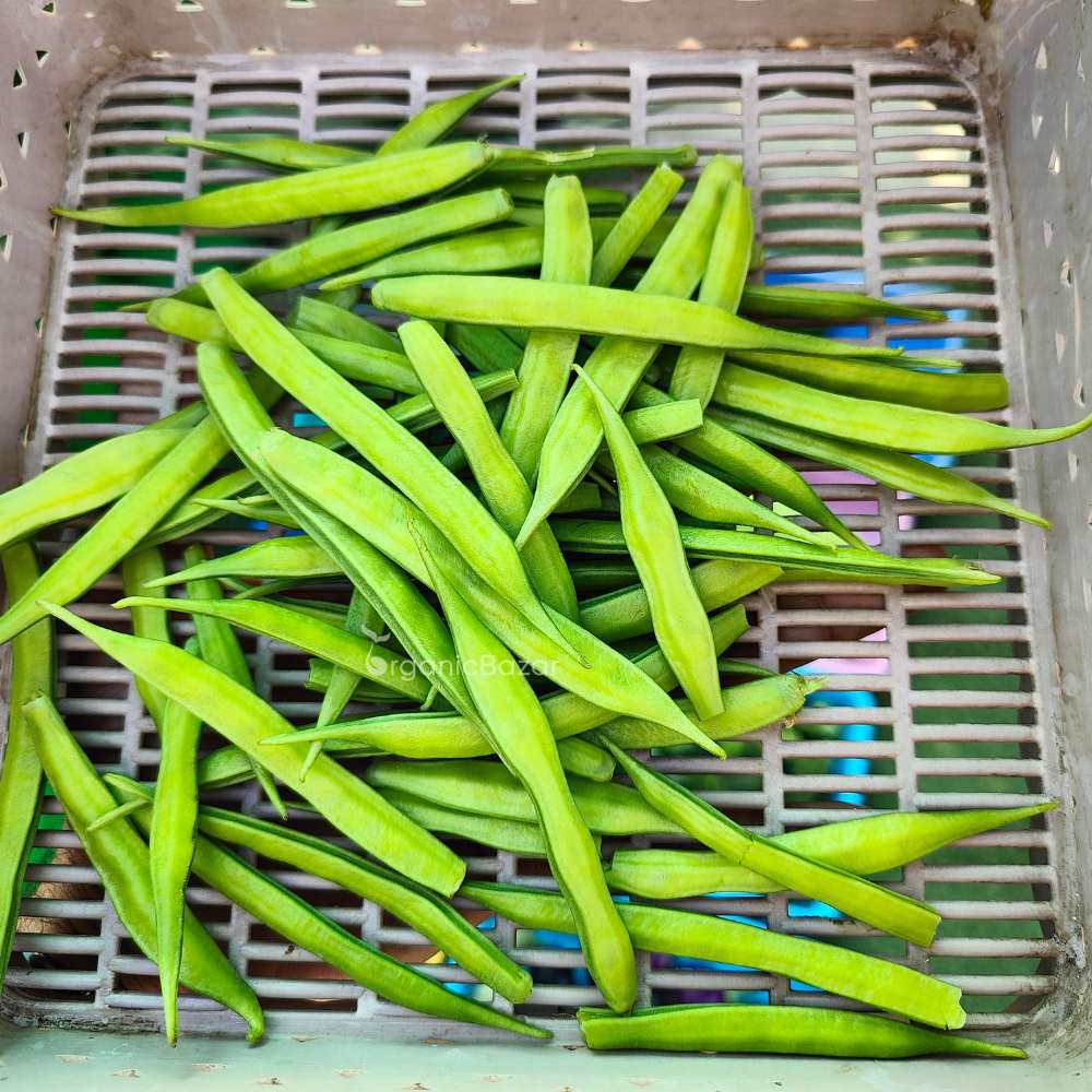 Gwar Phali Seeds - 50 Seeds (Cluster Beans/क्लस्टर बीन्स/ग्वार फली के बीज) High Germination, Easy to Grow Seeds For Terrace Gardening - Image 4