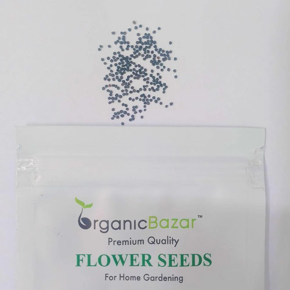 Gypsophila White Seeds - (200 Seeds) High Germination/ Easy To grow/ Perfect for pots, balconies, or Terrace gardens - Image 4
