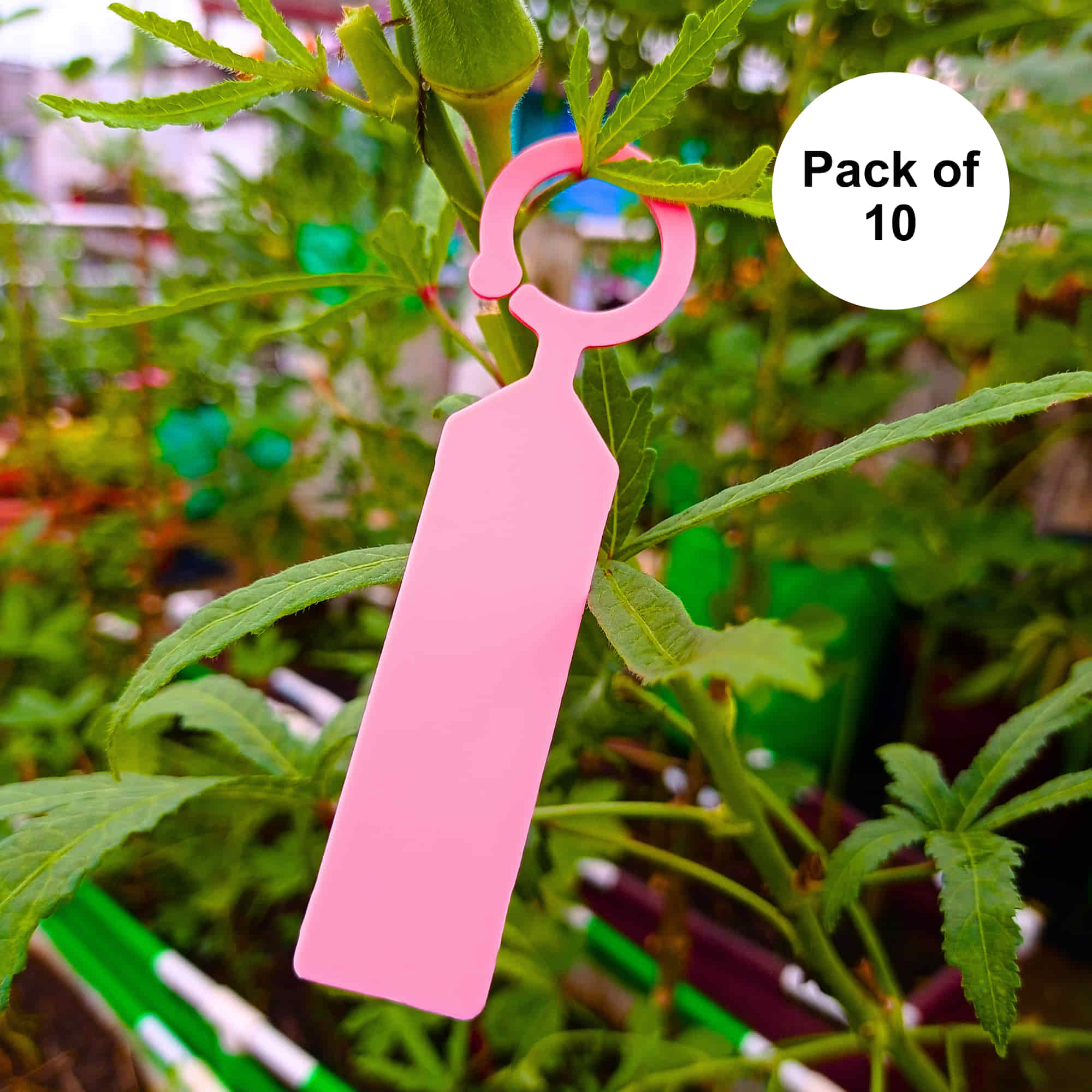 Hanging Plant Tag for Nursery & Home Garden | Plastic Plant Tree Tags | Ring Tag Garden Labels for Terrace Garden - Image 10