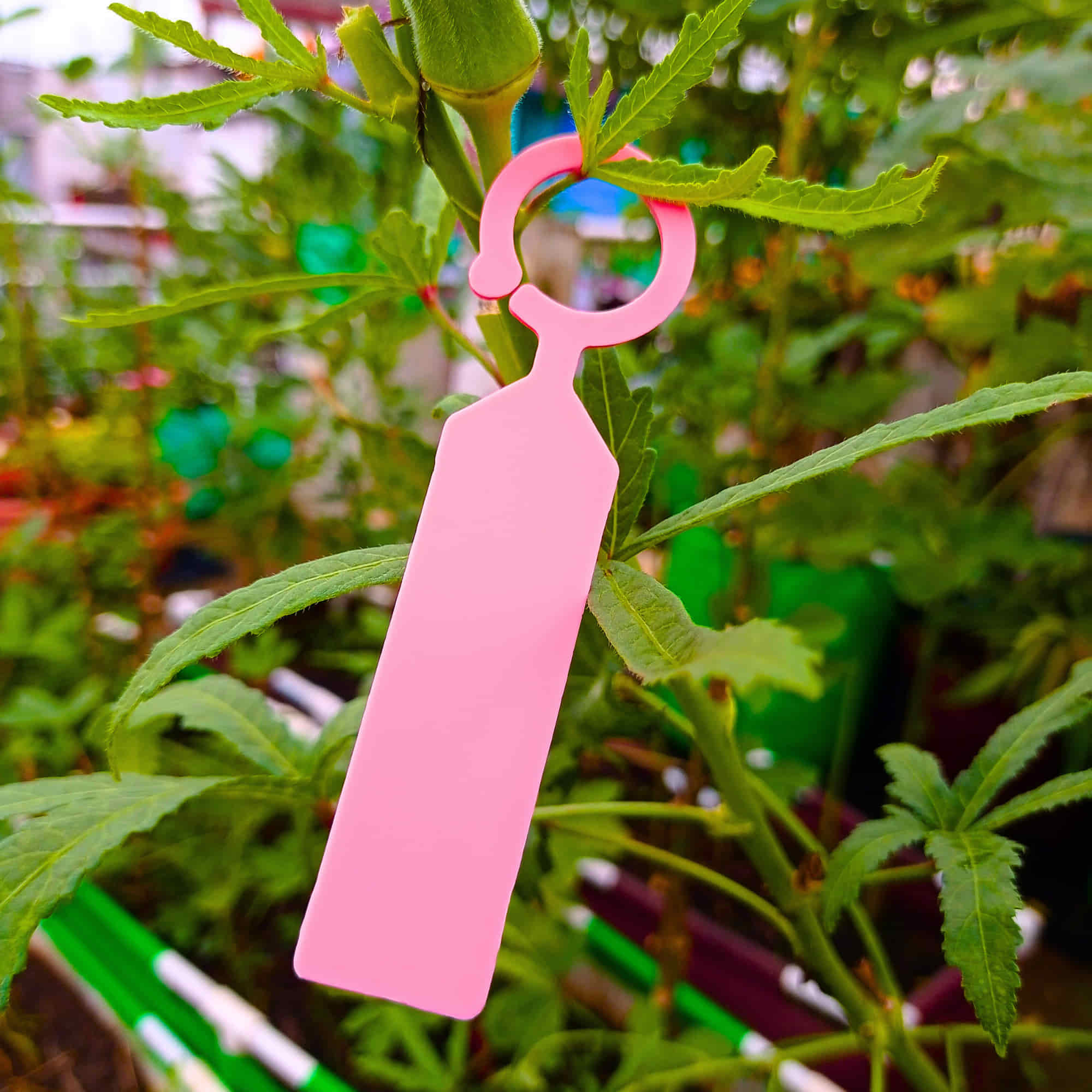 Hanging Plant Tag for Nursery & Home Garden | Plastic Plant Tree Tags | Ring Tag Garden Labels for Terrace Garden - Image 11
