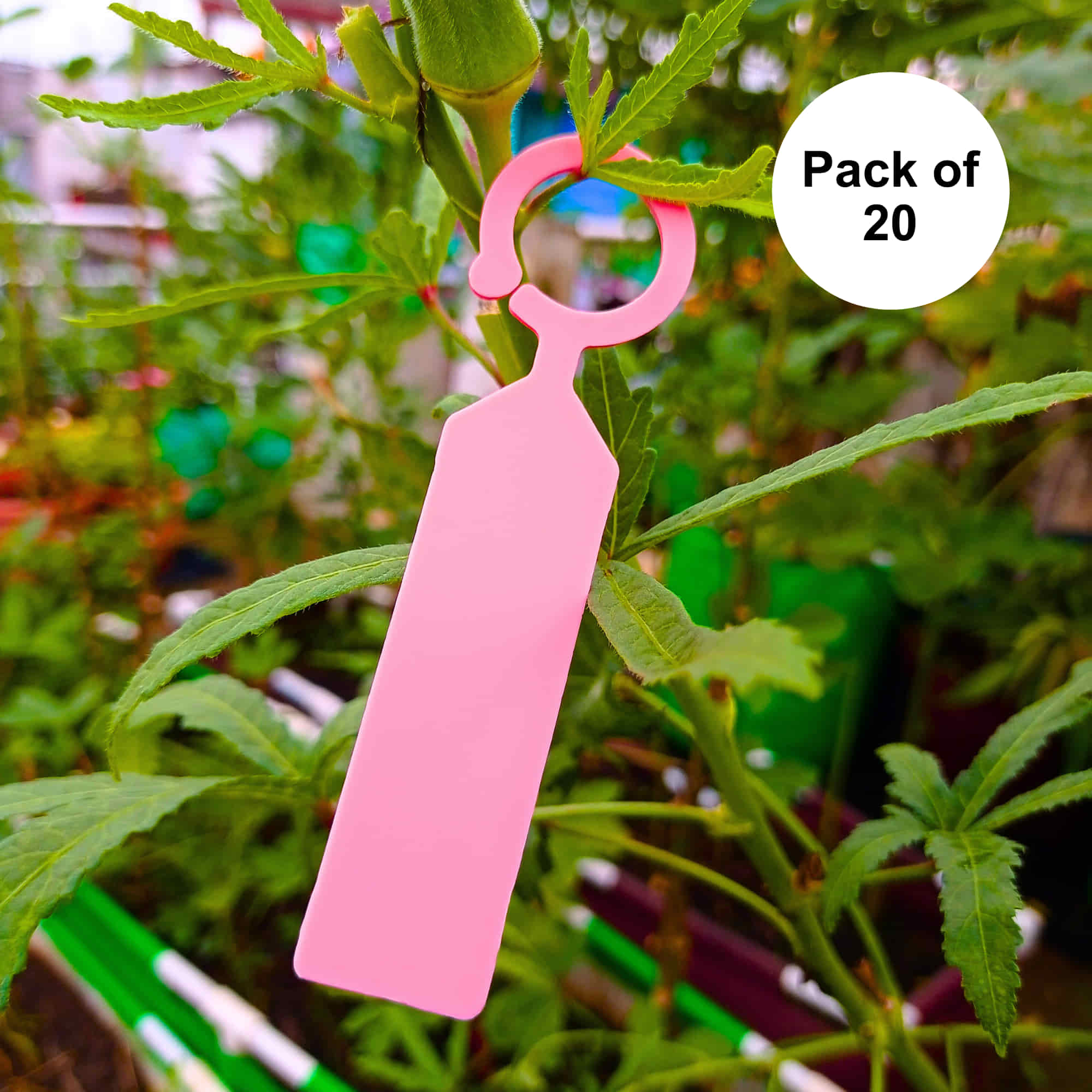 Hanging Plant Tag for Nursery & Home Garden | Plastic Plant Tree Tags | Ring Tag Garden Labels for Terrace Garden - Image 12