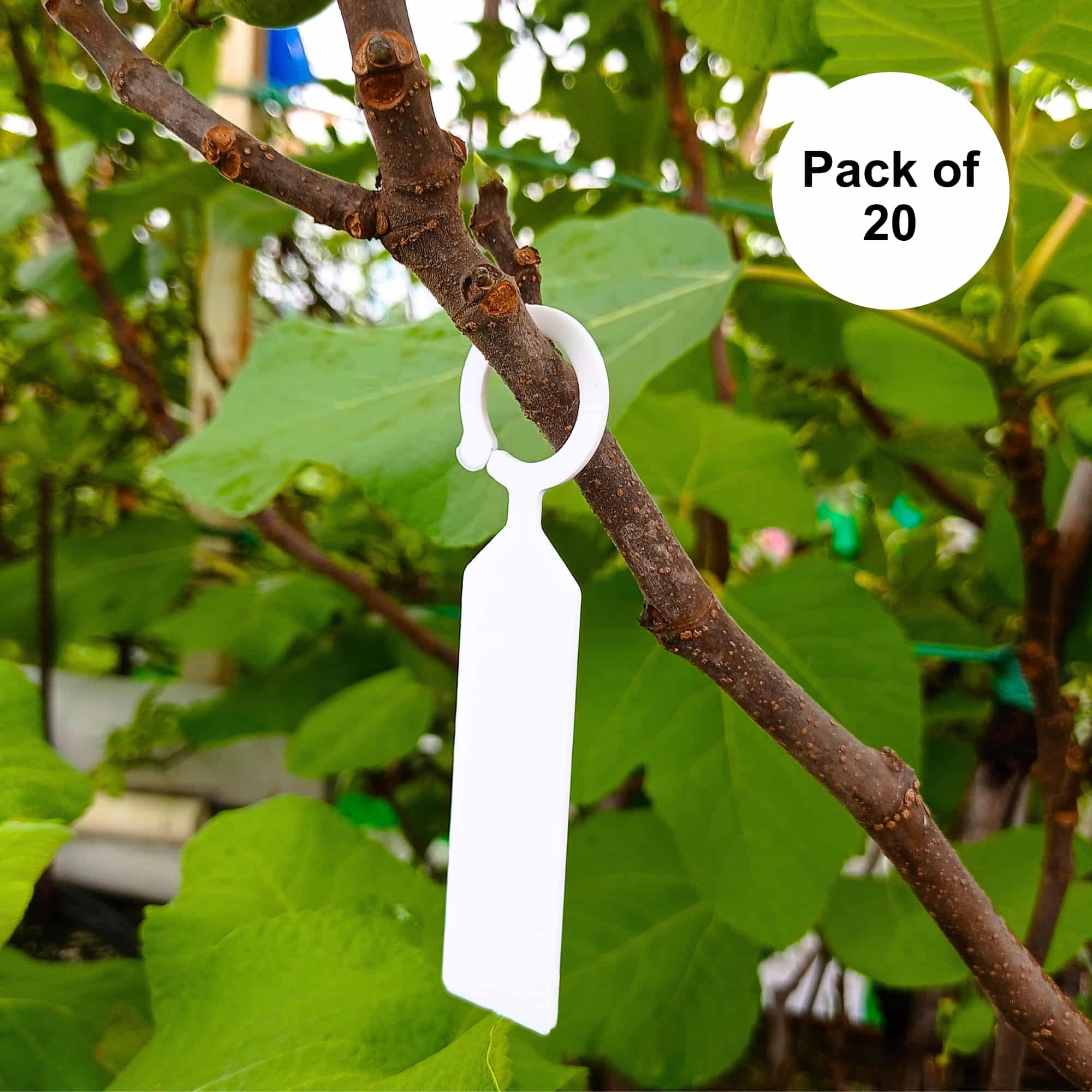 Hanging Plant Tag for Nursery & Home Garden | Plastic Plant Tree Tags | Ring Tag Garden Labels for Terrace Garden - Image 8