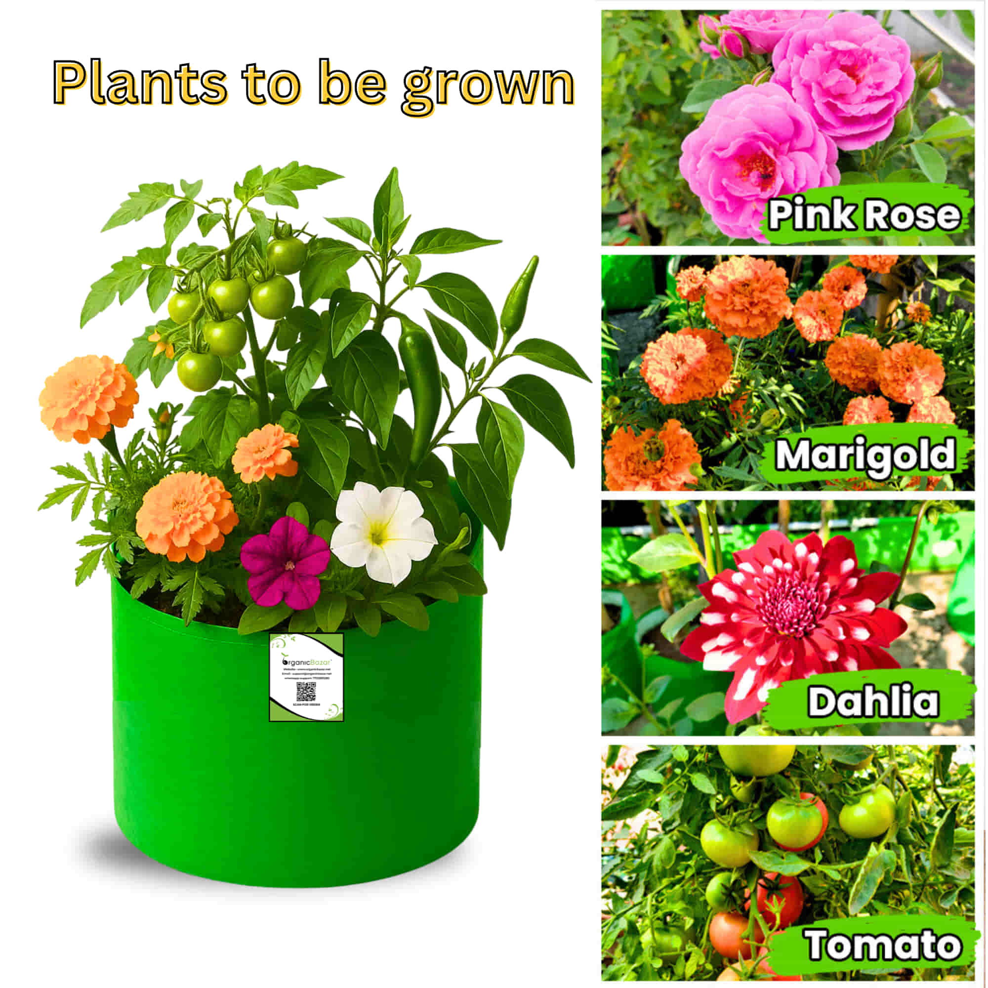 OrganicBazar 15x9 Grow Bag for Terrace Garden, Premium HDPE 260 GSM, Green Plant Bags - Image 6