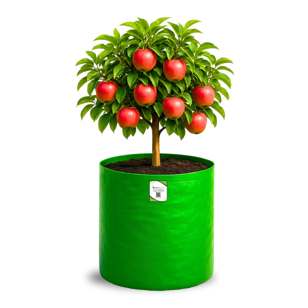 OrganicBazar 18X24 Tree Grow Bag for Home Gardening, Premium HDPE 260 GSM Green Big Plant Bags - Image 5