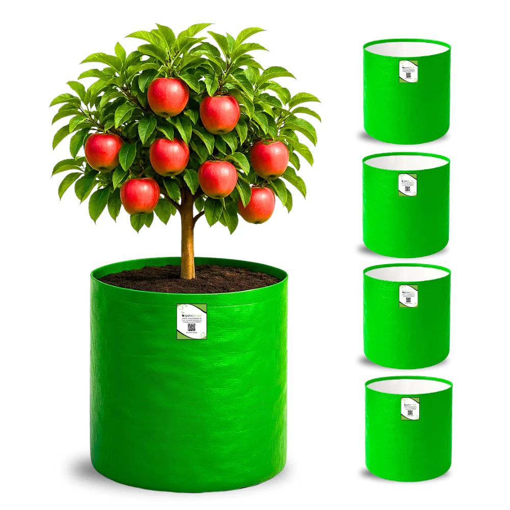 OrganicBazar 18X24 Tree Grow Bag for Home Gardening, Premium HDPE 260 GSM Green Big Plant Bags - Image 6