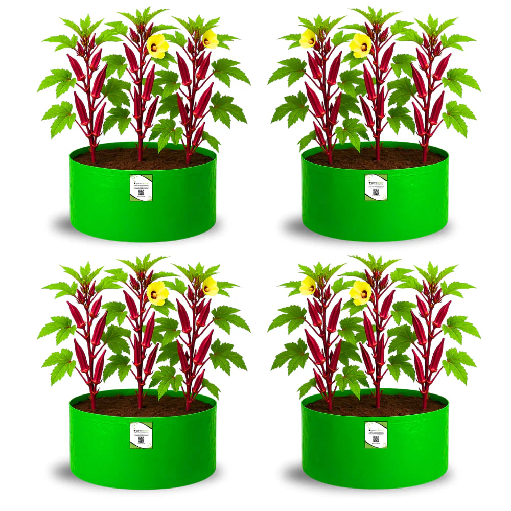 OrganicBazar 18x12 Grow Bag for Vegetable Gardening, Premium HDPE 260 GSM, Green Plant Bags for Home Garden