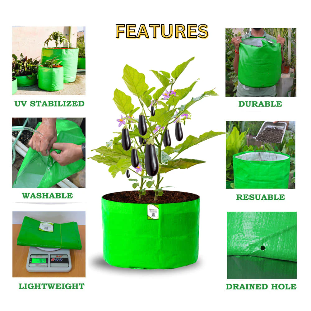 OrganicBazar 18x12 Grow Bag for Vegetable Gardening, Premium HDPE 260 GSM, Green Plant Bags for Home Garden - Image 3