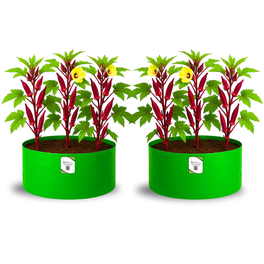 OrganicBazar 18x12 Grow Bag for Vegetable Gardening, Premium HDPE 260 GSM, Green Plant Bags for Home Garden - Image 5