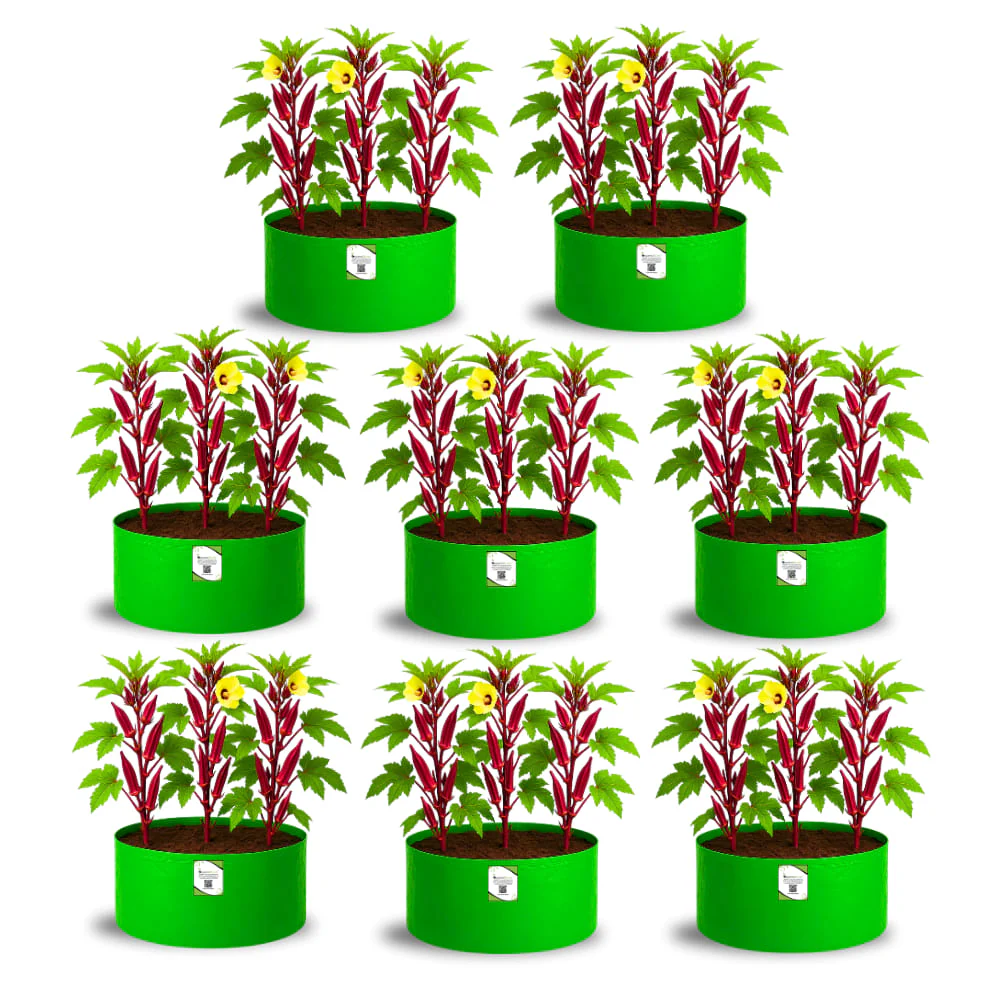 OrganicBazar 18x12 Grow Bag for Vegetable Gardening, Premium HDPE 260 GSM, Green Plant Bags for Home Garden - Image 7