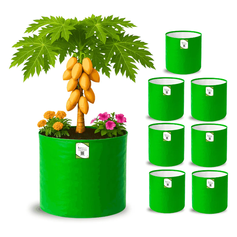 OrganicBazar 21x21 Big Size Grow Bags for Terrace Gardening, Premium HDPE 260 GSM Green Plant Bag for Fruit Tree - Image 5