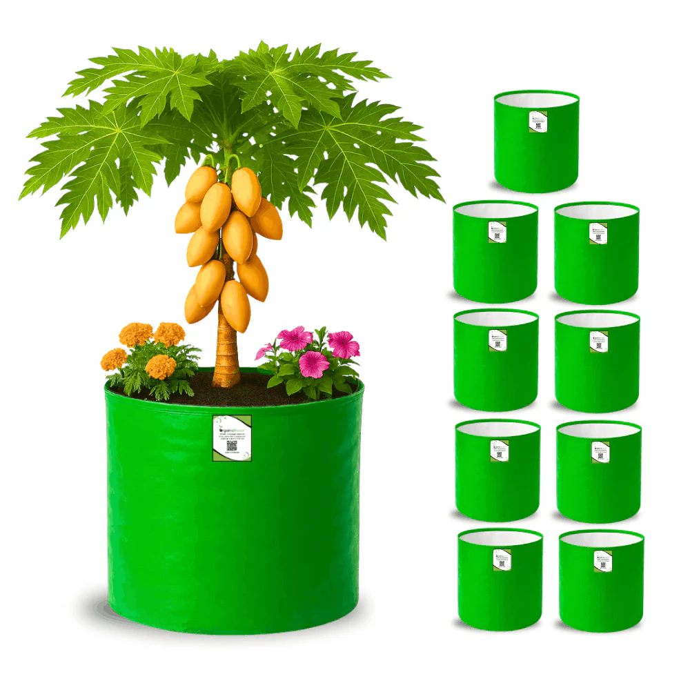OrganicBazar 21x21 Big Size Grow Bags for Terrace Gardening, Premium HDPE 260 GSM Green Plant Bag for Fruit Tree - Image 6