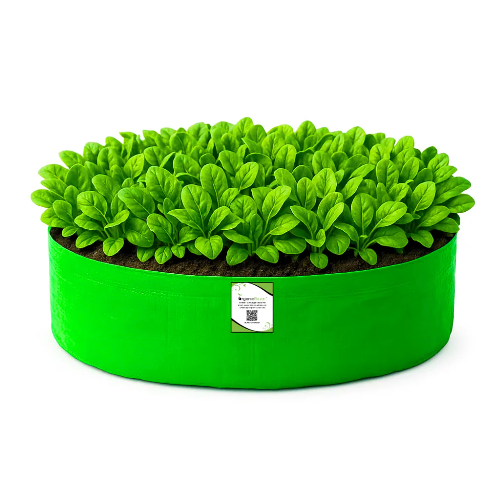 OrganicBazar 24x6 Grow Bag for Leafy Vegetables, Premium HDPE 260 GSM, Green Plant Bags for Terrace Garden - Image 4