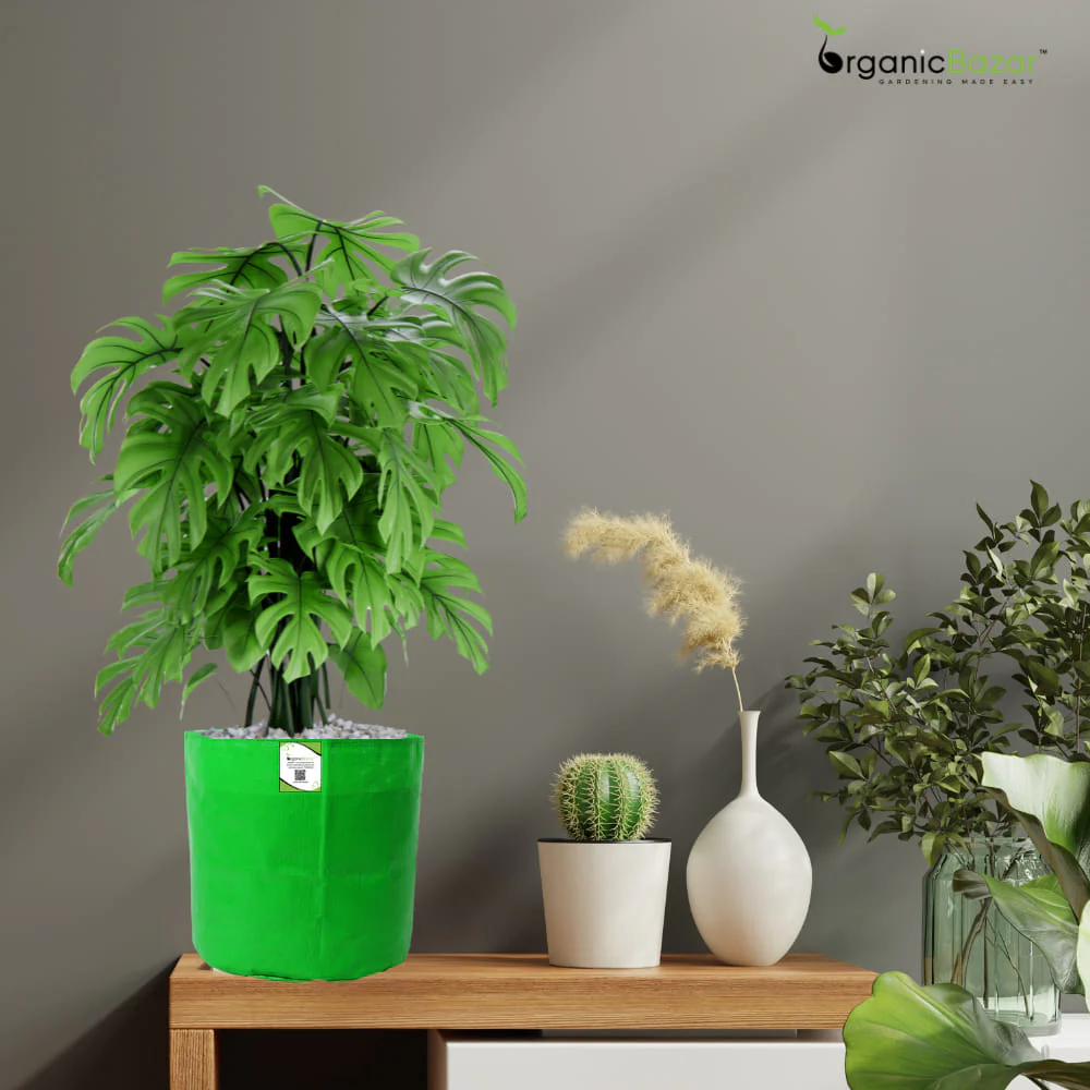 OrganicBazar HDPE 10×10 Cylindrical Grow Bag – 260 GSM | UV-Stabilized Round Grow Bag for Vegetables & Flowers - Image 10