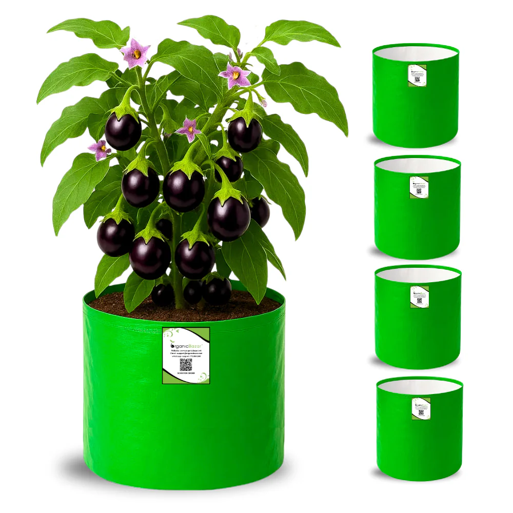 OrganicBazar HDPE 10×10 Cylindrical Grow Bag – 260 GSM | UV-Stabilized Round Grow Bag for Vegetables & Flowers - Image 5