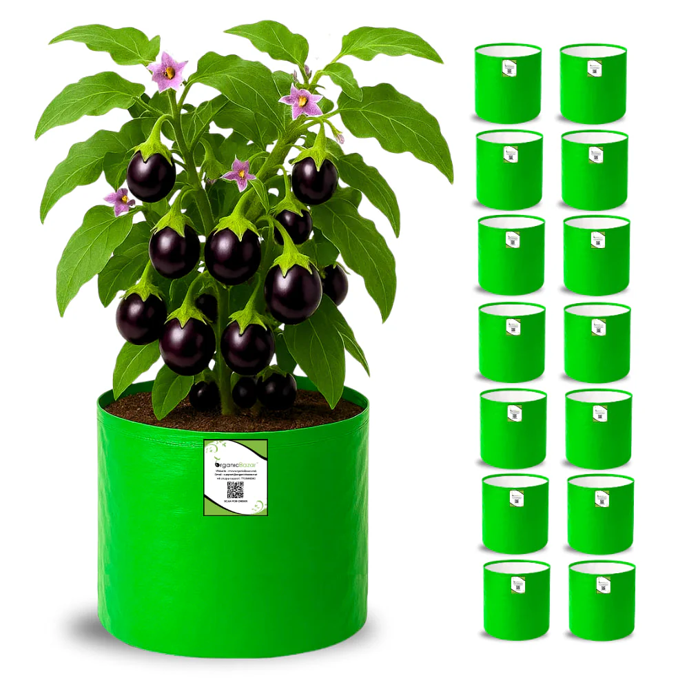 OrganicBazar HDPE 10×10 Cylindrical Grow Bag – 260 GSM | UV-Stabilized Round Grow Bag for Vegetables & Flowers - Image 6