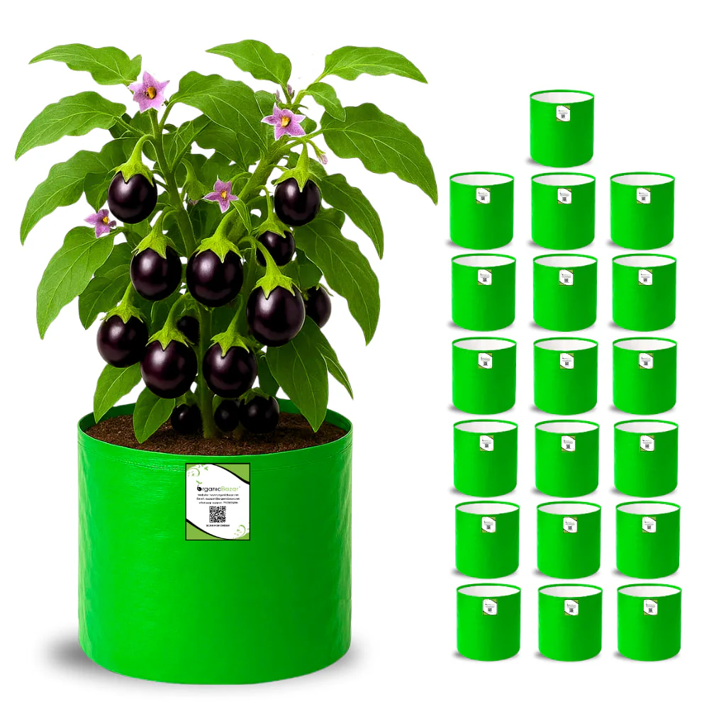 OrganicBazar HDPE 10×10 Cylindrical Grow Bag – 260 GSM | UV-Stabilized Round Grow Bag for Vegetables & Flowers - Image 7