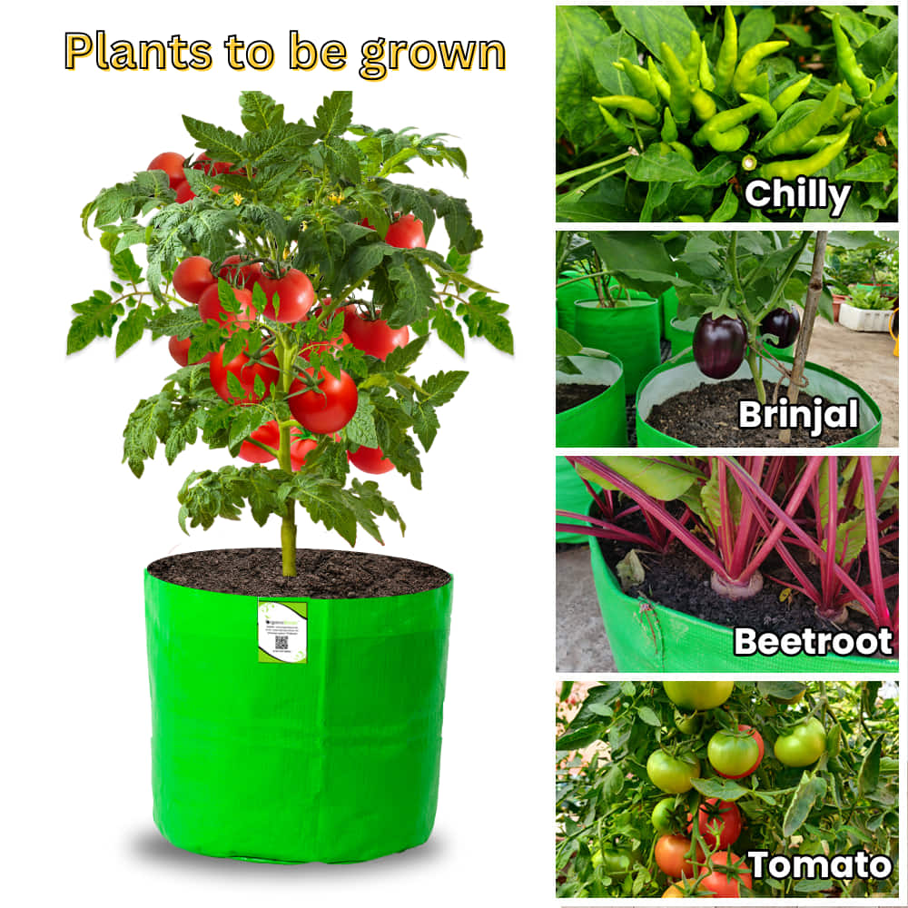 OrganicBazar HDPE 10×10 Cylindrical Grow Bag – 260 GSM | UV-Stabilized Round Grow Bag for Vegetables & Flowers - Image 8