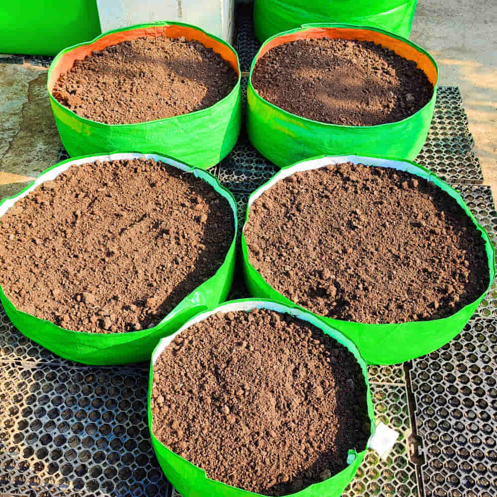 OrganicBazar 15x6 Grow Bag for Leafy Vegetables, Premium HDPE 260 GSM, Green Plant Bags - Image 10