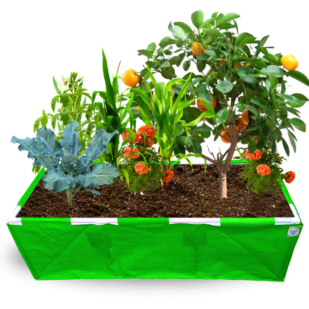 HDPE 60x24x18 Rectangle Grow Bag With Supporting Pvc Pipes Extra Thick Premium Quality Grow Bags - Image 5