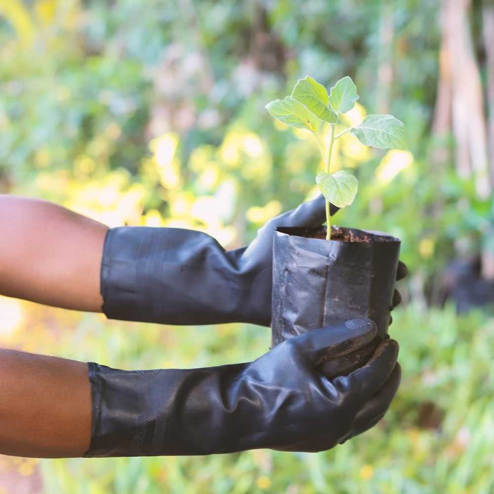 Rubber Hand Gloves Non-Slip (Black) - Image 4