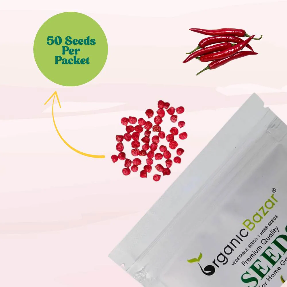 Kashmiri Chilli Seeds - (50 Seeds) High Yield | High Germination | Best for Home Gardens (Kashmiri Laal Mirch ke Beej / कश्मीरी मिर्च के बीज) - Image 5