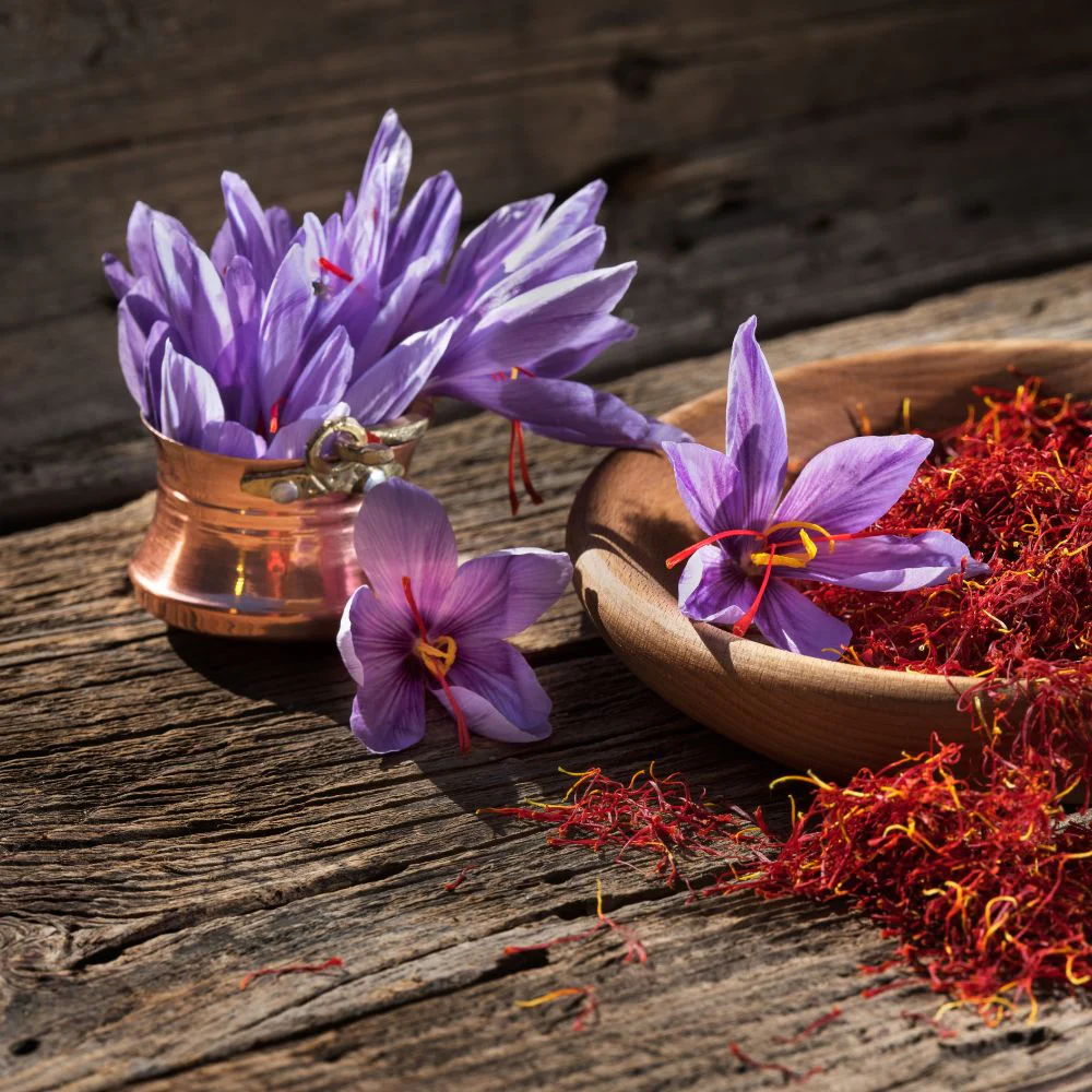 Kashmiri Saffron (Kesar) Bulbs 10N - Image 5