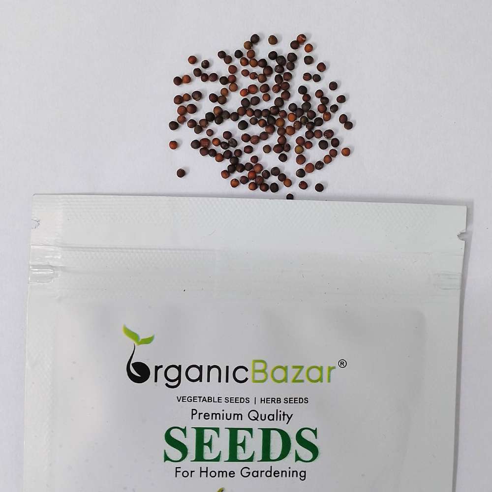 Knol Khol (kohlrabi) Seeds - 150N (Ganth Gobhi/गांठ गोभी के बीज) - Image 4